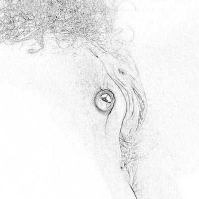 1/2/3/4 Pair Big Powerful Magnetic Orbs Nipple Clamps Big Dildo G-spot Vibrator Stimulate Clitoris Sex Toys for Woman Couples