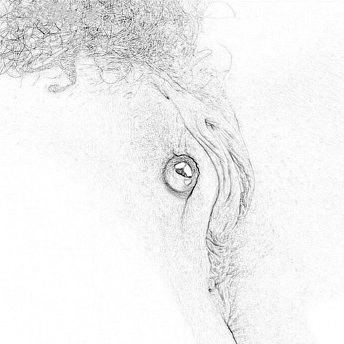 1/2/3/4 Pair Big Powerful Magnetic Orbs Nipple Clamps Big Dildo G-spot Vibrator Stimulate Clitoris Sex Toys for Woman Couples