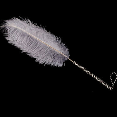 Erotic Feather Whip Spanking Paddle White Fetish Leather Flirt Sex Whip Sexy Lingerie Romantic Massage Sex Toys for Women Adult